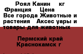  Роял Канин 20 кг Франция! › Цена ­ 3 520 - Все города Животные и растения » Аксесcуары и товары для животных   . Пермский край,Краснокамск г.